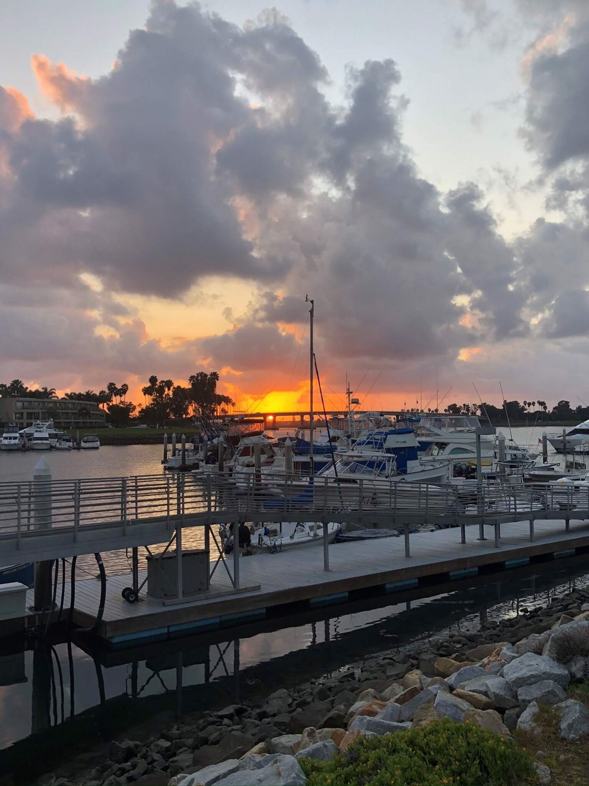 Beach Break Insurance Agency — San Diego marina at sunset