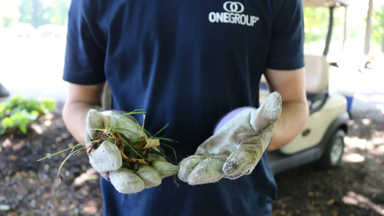 Onegroup Ny Inc. — volunteering