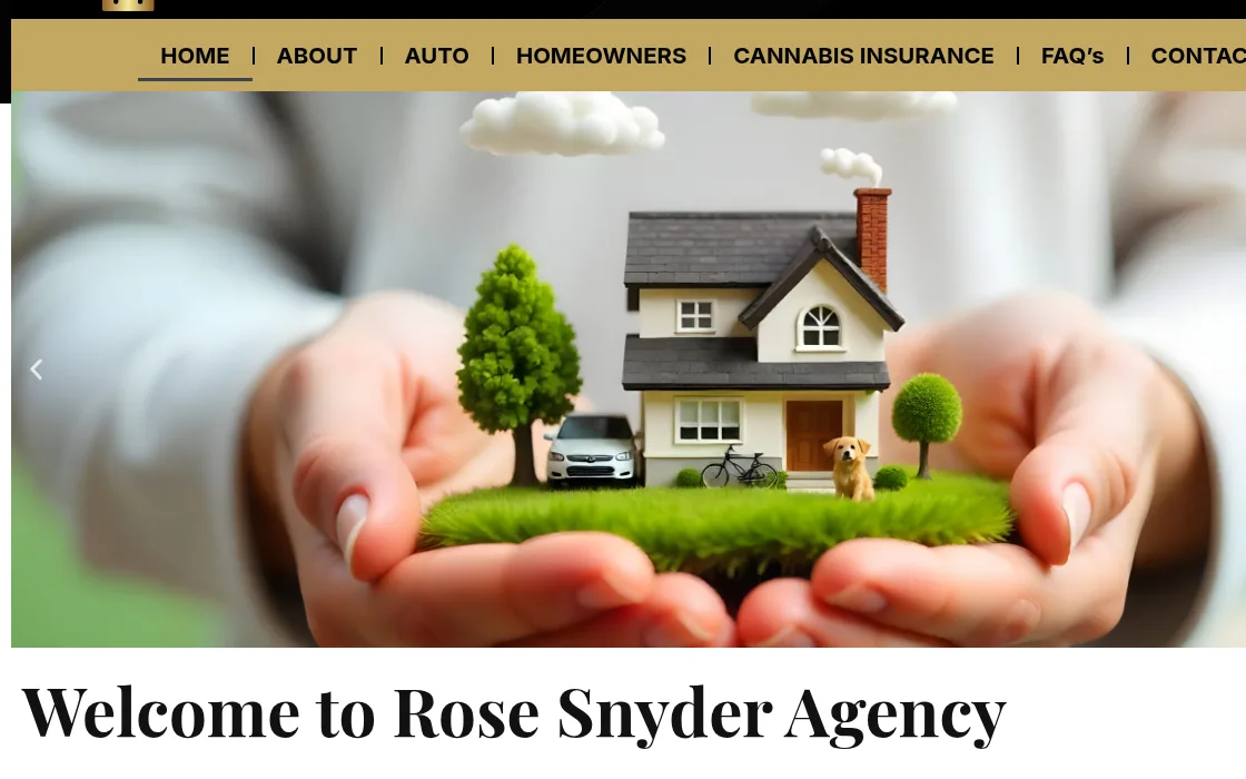 Rose Snyder Agency website homepage, Albany, NY