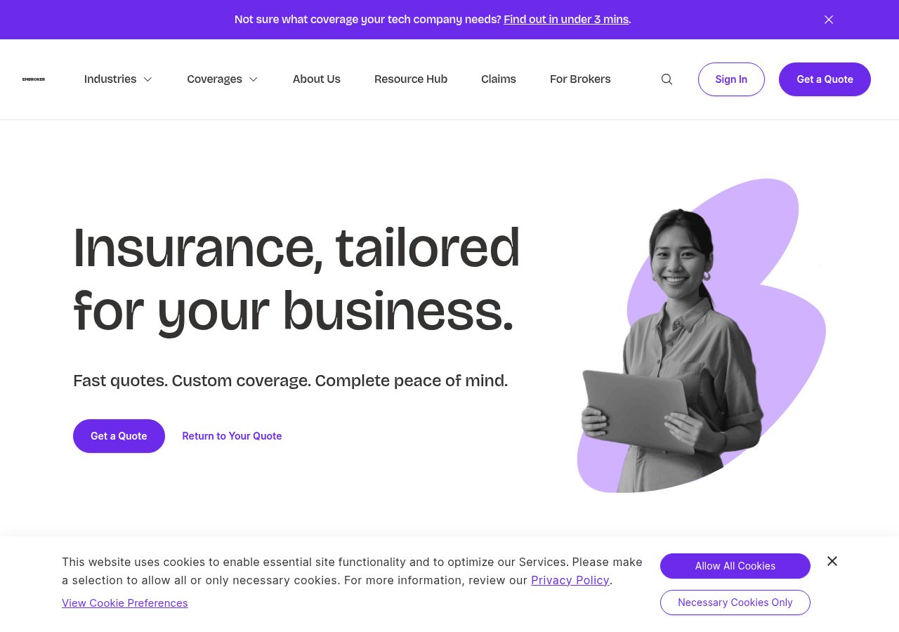 Website preview for Embroker