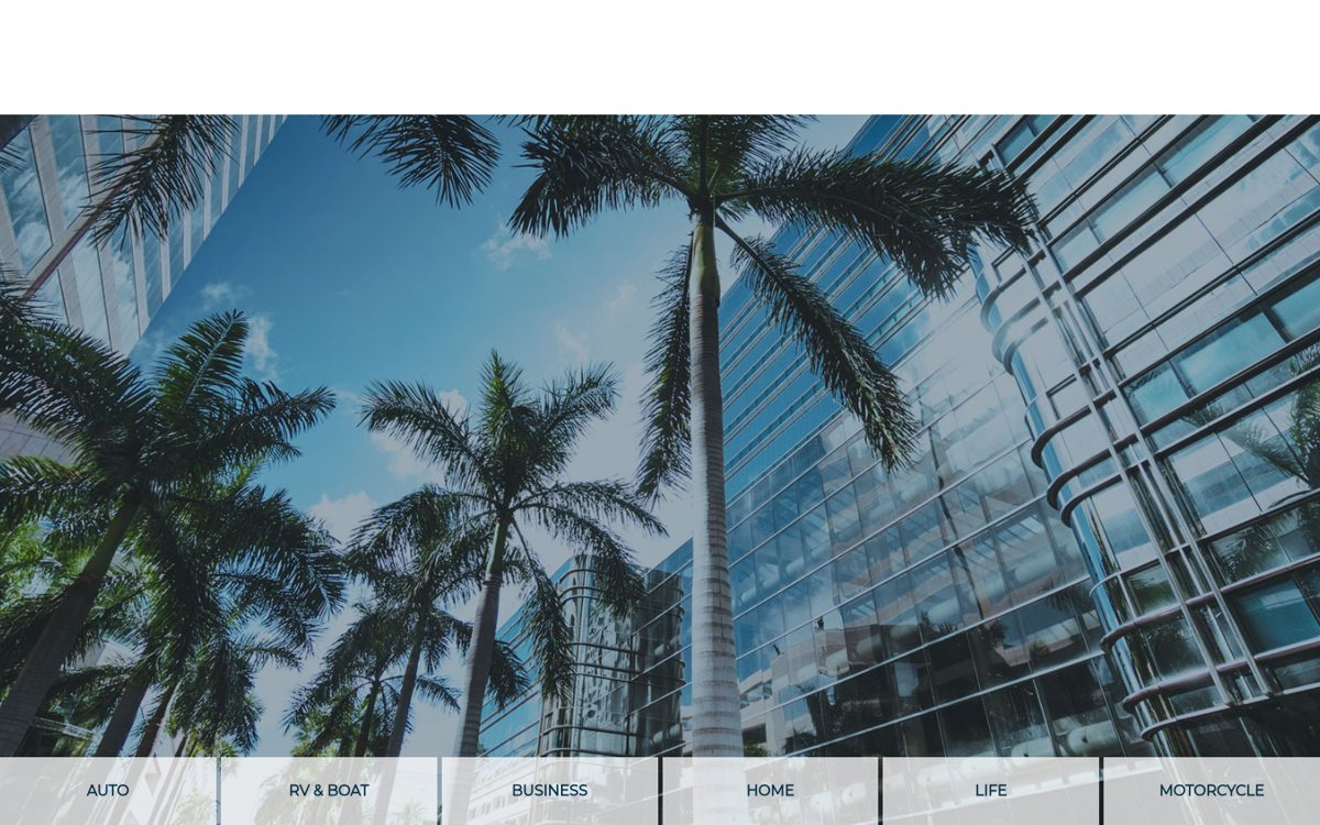 American Insurance Point LLC website homepage, Orlando, FL