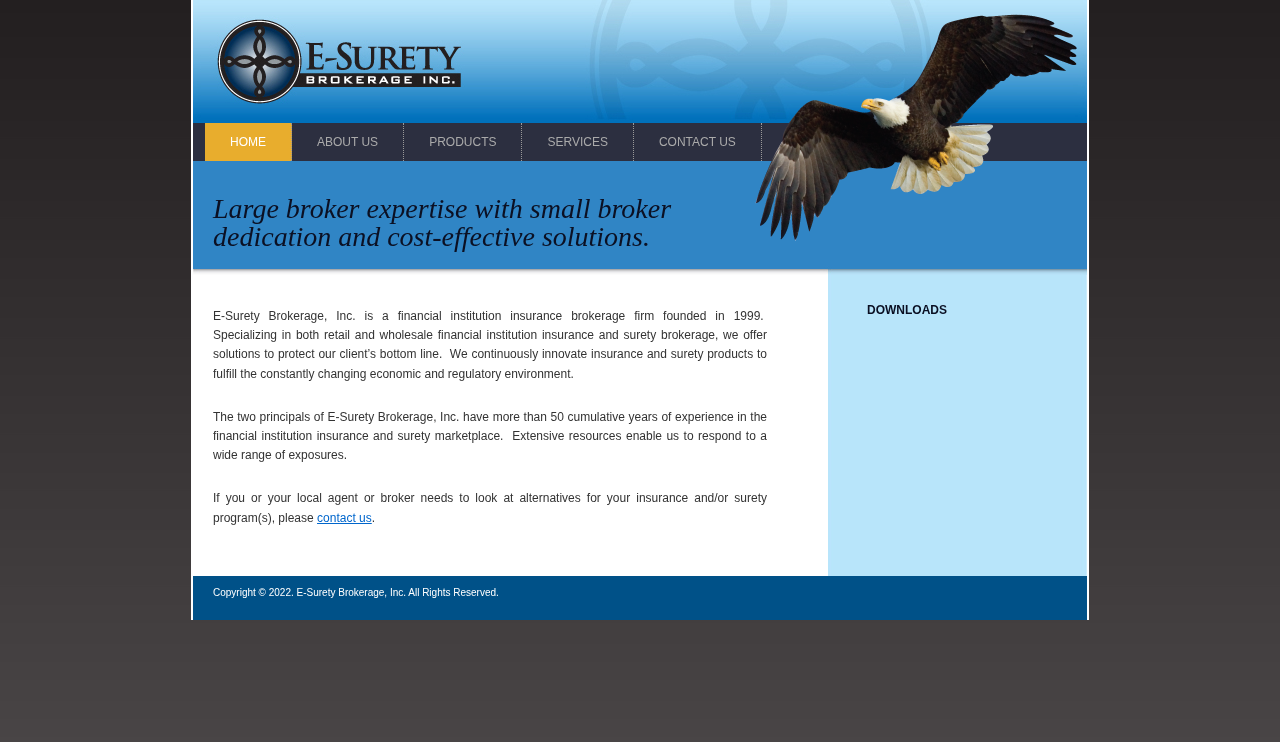 Website preview for E-Surety Brokerage, Inc.
