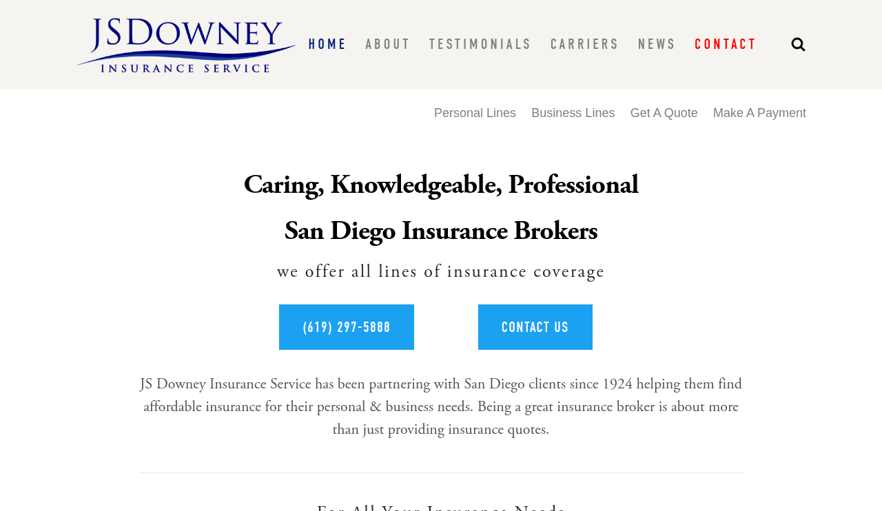 Website preview for JS Downey Insurance Service