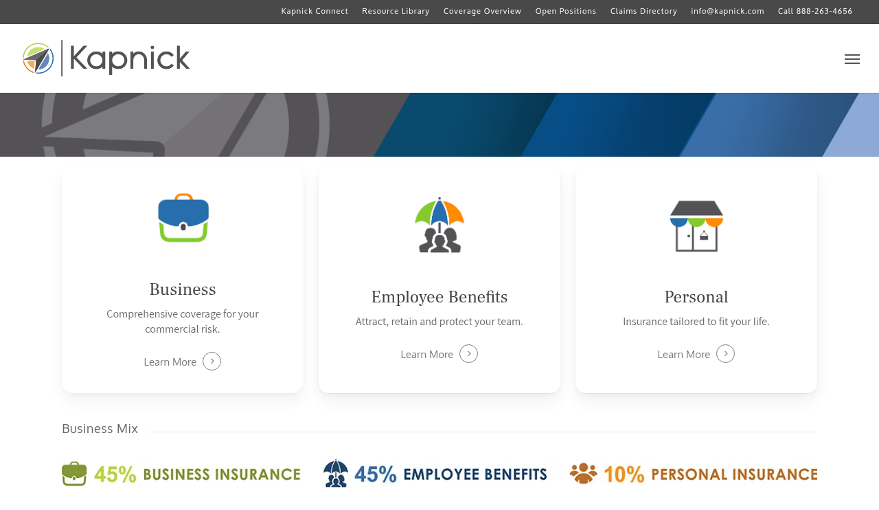 Website preview for Kapnick Insurance Group