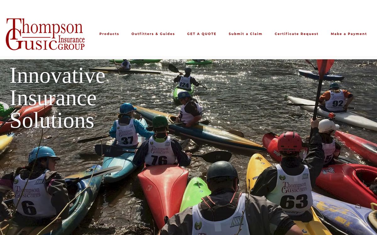 Website preview for Thompson-Gusic Insurance Group