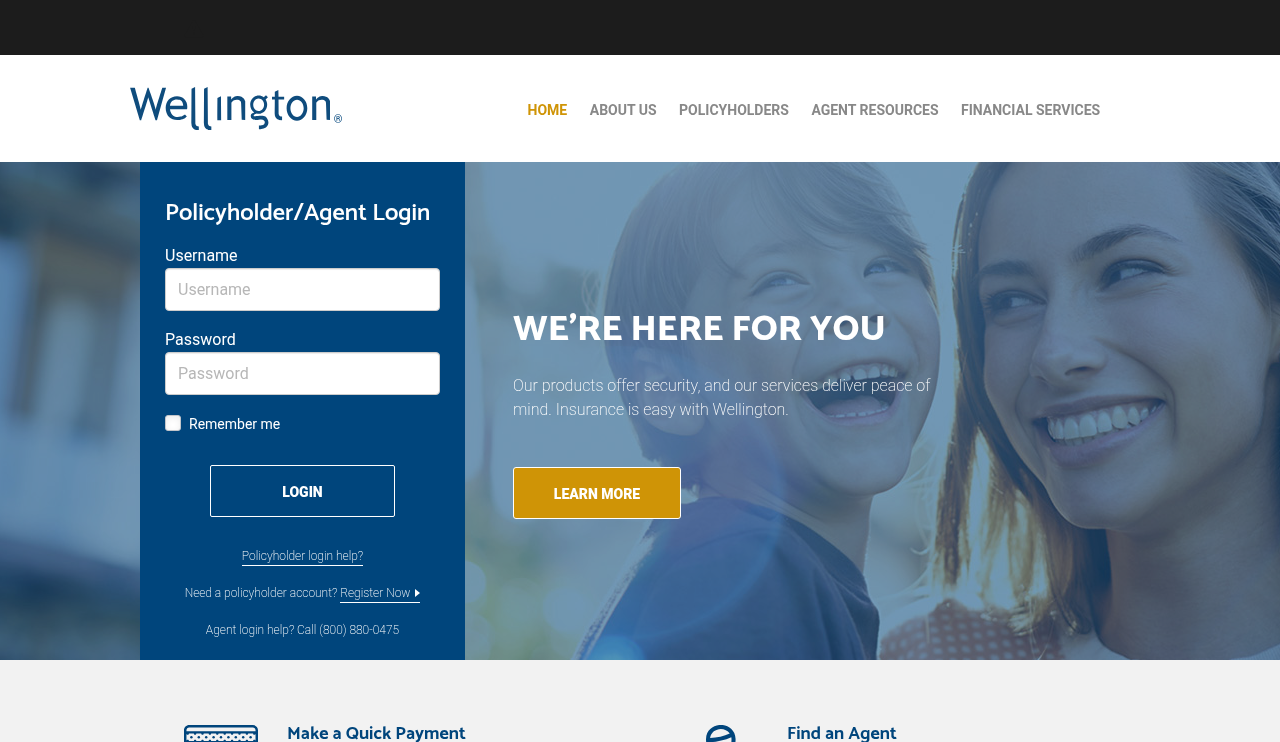 Website preview for Wellington Risk Insurance Agency