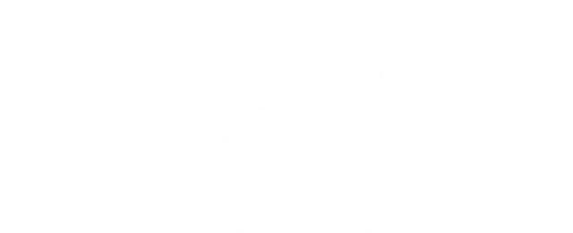Onegroup Ny Inc. logo