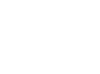 Vault Custom Risk Solutions, LLC logo