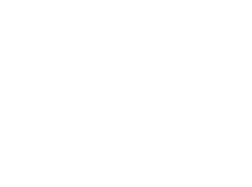 Vault Custom Risk Solutions, LLC logo