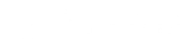 Southcoast Insurance Group logo