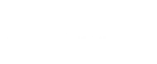 AMY Insurance Group logo