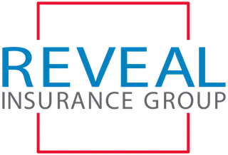 Reveal Insurance Group, LP logo